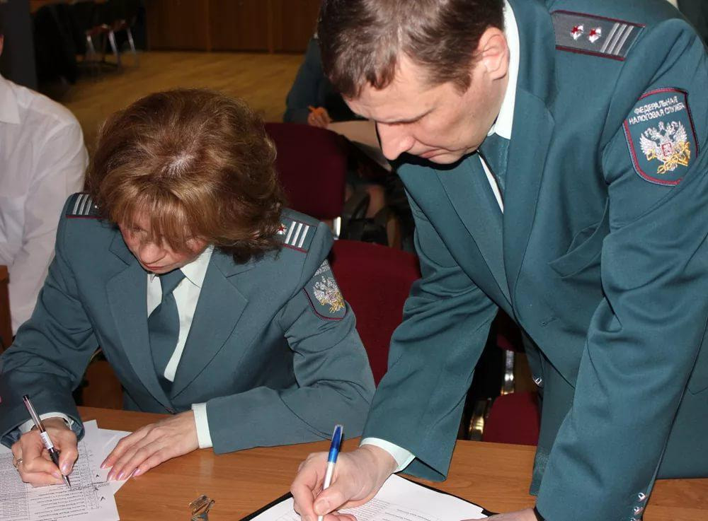 Как осуществляется выездная налоговая проверка